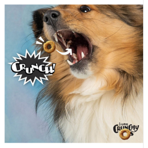 Fromm Crunchy O s Bacon Blasters Dog Treats Online Sale