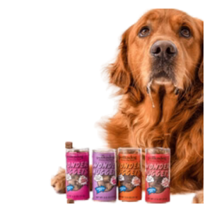 Polka Dog Mini Tube Wonder Nuggets Sweet Potato & Beef Soft & Chewy Dog Treats 2.5oz Hot on Sale