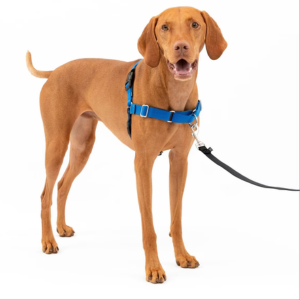 PetSafe Easy Walk Dog Harness Blue For Cheap