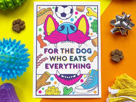 Scoff Paper Dog Who Eats Everything Chicken Flavored Edible Card for Dogs Sale