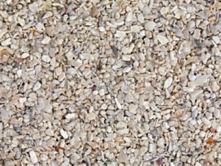 Caribsea Inc - Aragonite Seaflor Special Grade Reef Sand Online Hot Sale