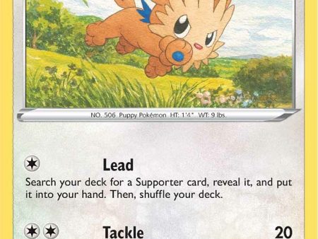 Lillipup (133 203) [Sword & Shield: Evolving Skies] Hot on Sale