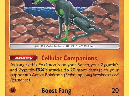 Zygarde (124 236) [Sun & Moon: Unified Minds] Fashion